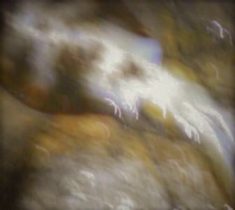 人が多かったです！